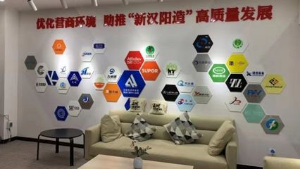 三重創新優化服務 漢陽“四辦”改革經驗的全國推廣與技術推廣服務探索